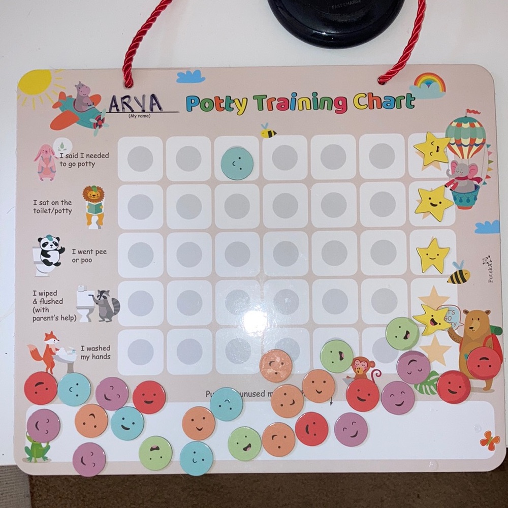 Potty Chart! Used, still in great shape